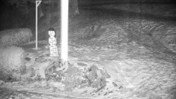 Běžecký lyžařský areál Nová Ves - horní část