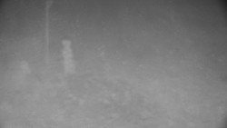 Běžecký lyžařský areál Nová Ves - horní část