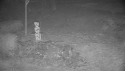 Běžecký lyžařský areál Nová Ves - horní část