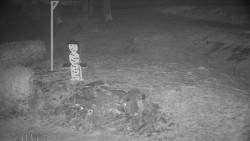 Běžecký lyžařský areál Nová Ves - horní část