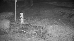 Běžecký lyžařský areál Nová Ves - horní část