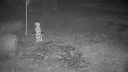 Běžecký lyžařský areál Nová Ves - horní část