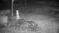 Běžecký lyžařský areál Nová Ves - horní část