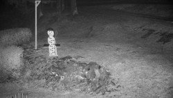 Běžecký lyžařský areál Nová Ves - horní část