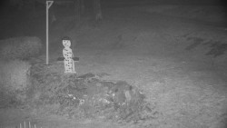 Běžecký lyžařský areál Nová Ves - horní část