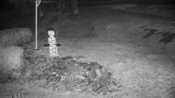 Běžecký lyžařský areál Nová Ves - horní část