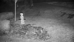 Běžecký lyžařský areál Nová Ves - horní část