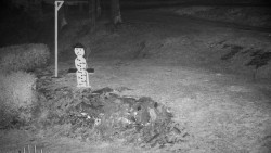 Běžecký lyžařský areál Nová Ves - horní část