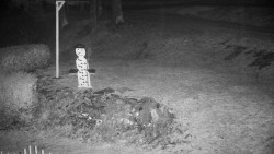 Běžecký lyžařský areál Nová Ves - horní část