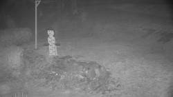 Běžecký lyžařský areál Nová Ves - horní část