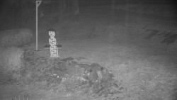 Běžecký lyžařský areál Nová Ves - horní část