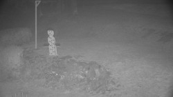 Běžecký lyžařský areál Nová Ves - horní část