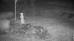 Běžecký lyžařský areál Nová Ves - horní část