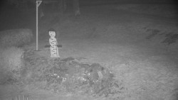 Běžecký lyžařský areál Nová Ves - horní část