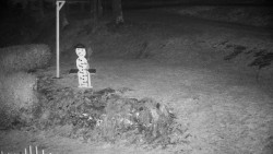 Běžecký lyžařský areál Nová Ves - horní část