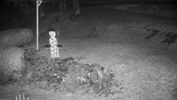 Běžecký lyžařský areál Nová Ves - horní část