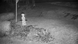 Běžecký lyžařský areál Nová Ves - horní část