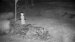 Běžecký lyžařský areál Nová Ves - horní část