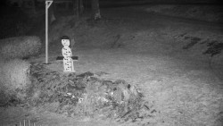 Běžecký lyžařský areál Nová Ves - horní část