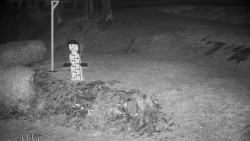 Běžecký lyžařský areál Nová Ves - horní část