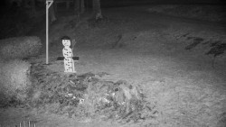 Běžecký lyžařský areál Nová Ves - horní část