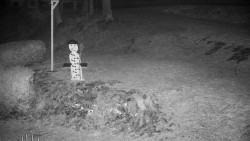 Běžecký lyžařský areál Nová Ves - horní část