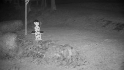 Běžecký lyžařský areál Nová Ves - horní část