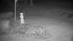 Běžecký lyžařský areál Nová Ves - horní část