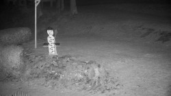 Běžecký lyžařský areál Nová Ves - horní část