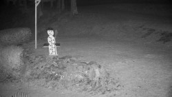 Běžecký lyžařský areál Nová Ves - horní část