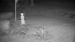 Běžecký lyžařský areál Nová Ves - horní část