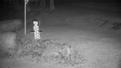 Běžecký lyžařský areál Nová Ves - horní část