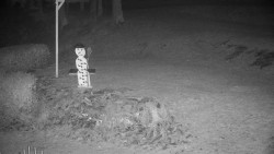 Běžecký lyžařský areál Nová Ves - horní část