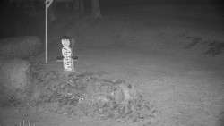 Běžecký lyžařský areál Nová Ves - horní část