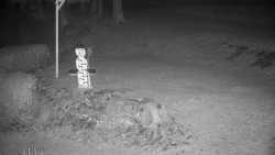 Běžecký lyžařský areál Nová Ves - horní část