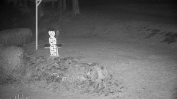 Běžecký lyžařský areál Nová Ves - horní část