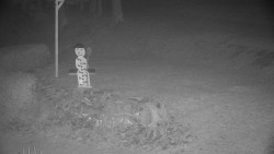 Běžecký lyžařský areál Nová Ves - horní část