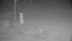 Běžecký lyžařský areál Nová Ves - horní část