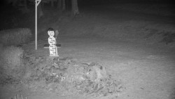 Běžecký lyžařský areál Nová Ves - horní část