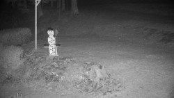 Běžecký lyžařský areál Nová Ves - horní část