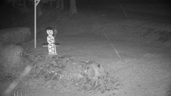 Běžecký lyžařský areál Nová Ves - horní část