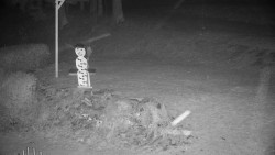 Běžecký lyžařský areál Nová Ves - horní část