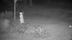 Běžecký lyžařský areál Nová Ves - horní část