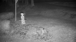 Běžecký lyžařský areál Nová Ves - horní část