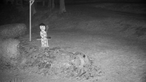 Chata Myslivna SKP Olomouc - Běžecký lyžařský areál Nová Ves - horní část - 18.12.2025 v 06:00 Chata Myslivna SKP Olomouc - Běžecký lyžařský areál Nová Ves - horní část - 18.12.2025 v 06:00