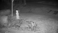 Běžecký lyžařský areál Nová Ves - horní část