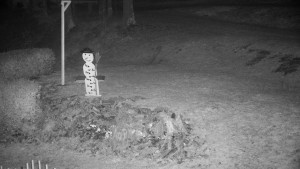 Chata Myslivna SKP Olomouc - Běžecký lyžařský areál Nová Ves - horní část - 18.12.2025 v 22:30 Chata Myslivna SKP Olomouc - Běžecký lyžařský areál Nová Ves - horní část - 18.12.2025 v 22:30