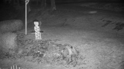 Běžecký lyžařský areál Nová Ves - horní část