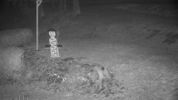 Běžecký lyžařský areál Nová Ves - horní část