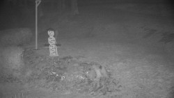 Běžecký lyžařský areál Nová Ves - horní část